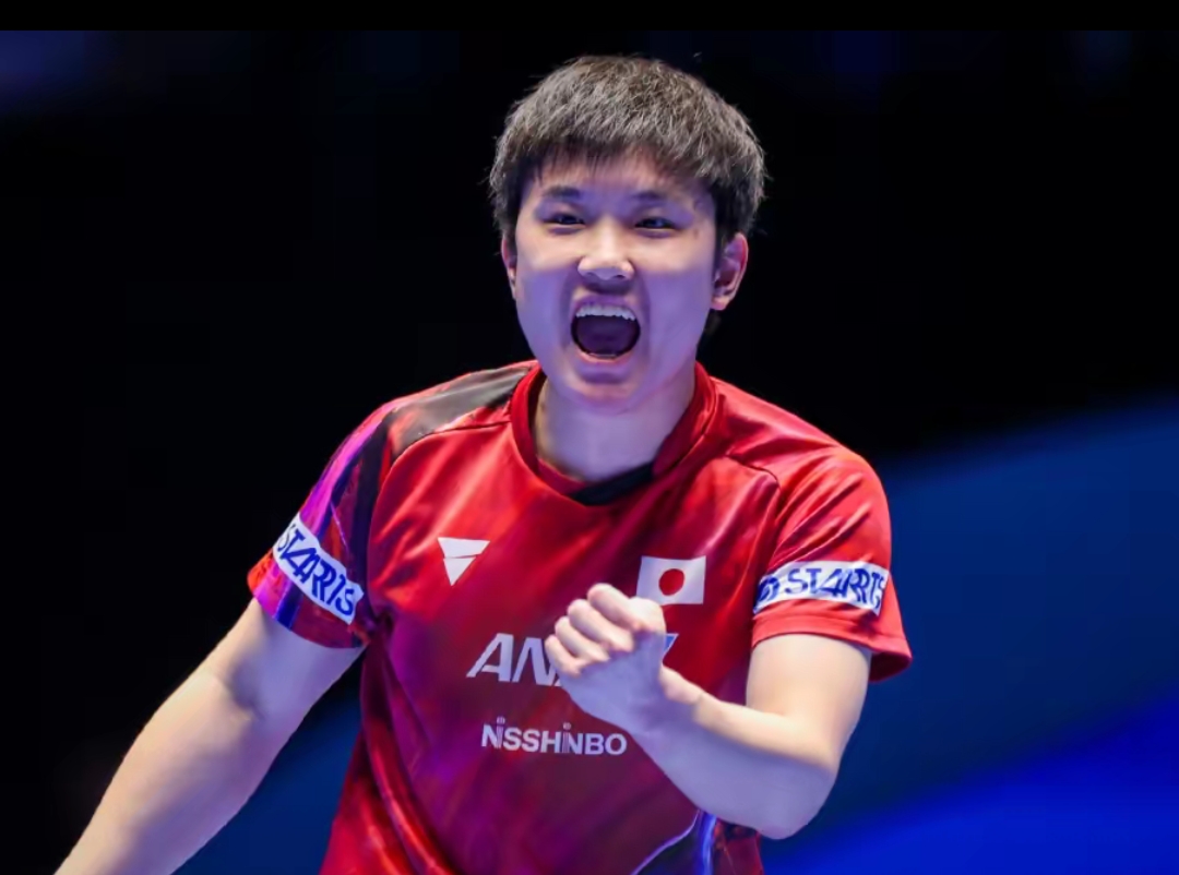 战术指导 战术指导